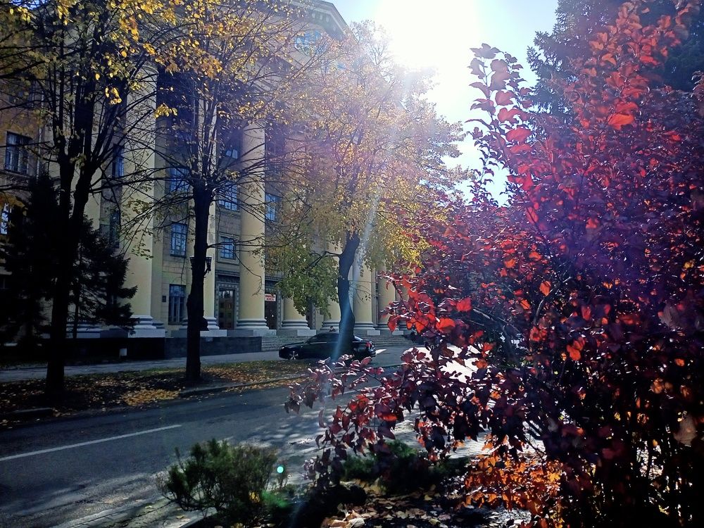 Photograph by Адамян Анна