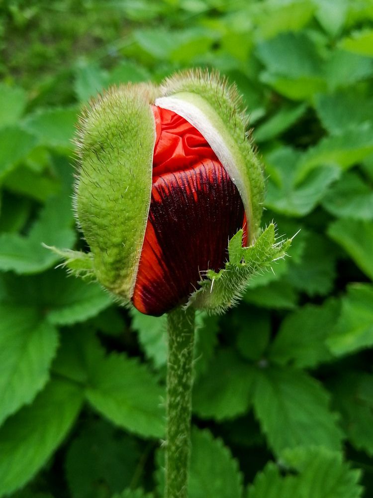 Photograph by Екатерина