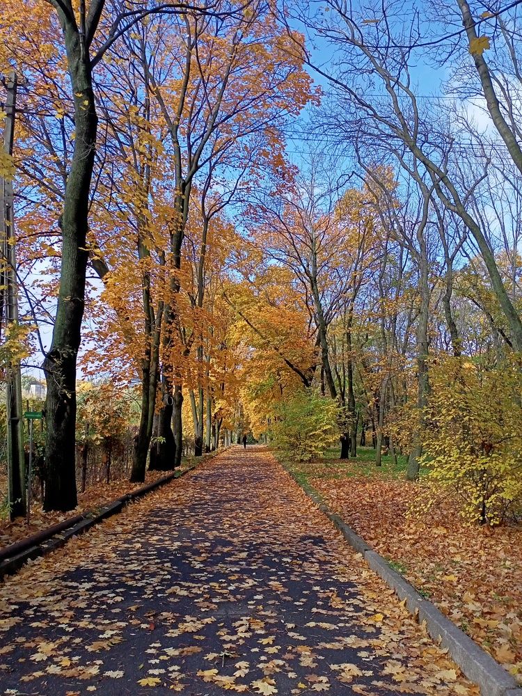 Photograph by Анна Лагун