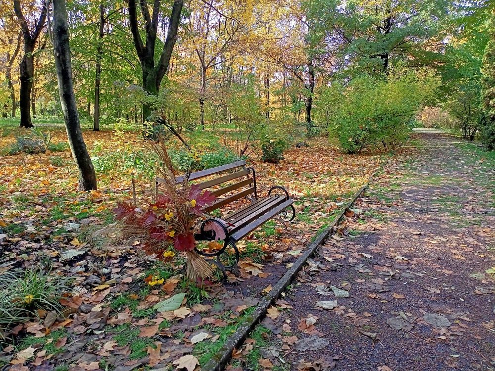 Photograph by Анна Лагун