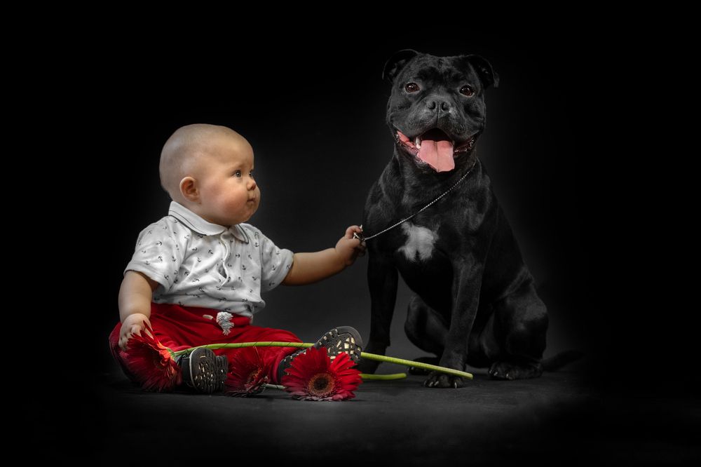 Photograph by Дина Колдомова