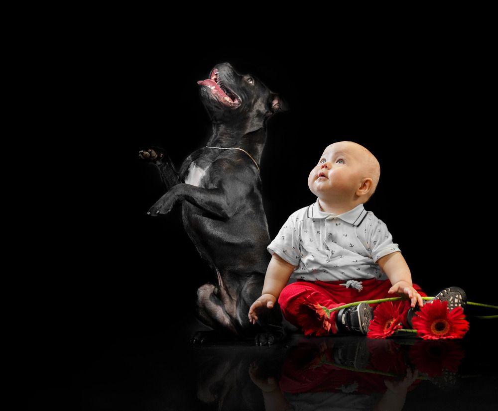 Photograph by Дина Колдомова