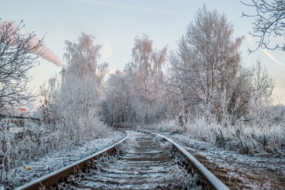 Photograph by Делана Романова