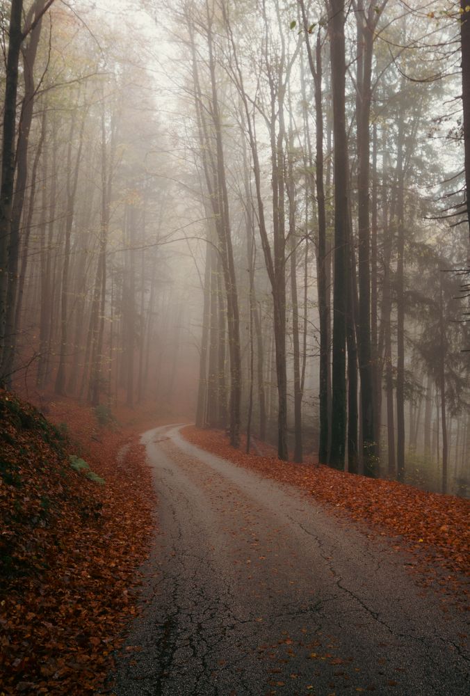 Photograph by Fahrudin Seferagić