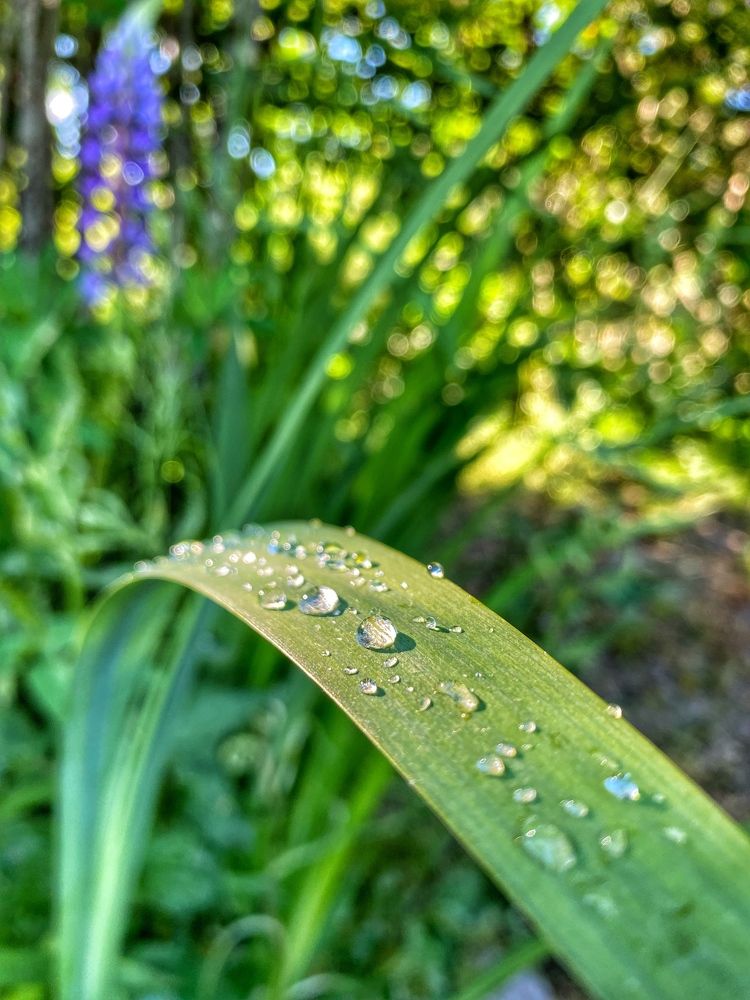 Photograph by Анна Щеглова