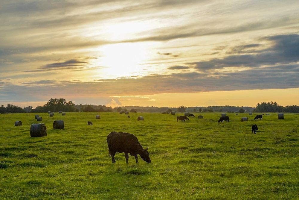 Photograph by Татьяна Богомазова
