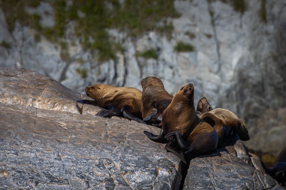 Photograph by Бравичева Анастасия