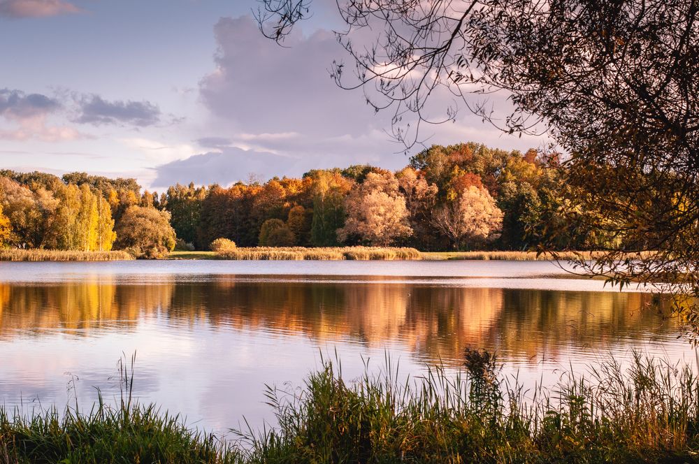 Photograph by Дарья Кончакова