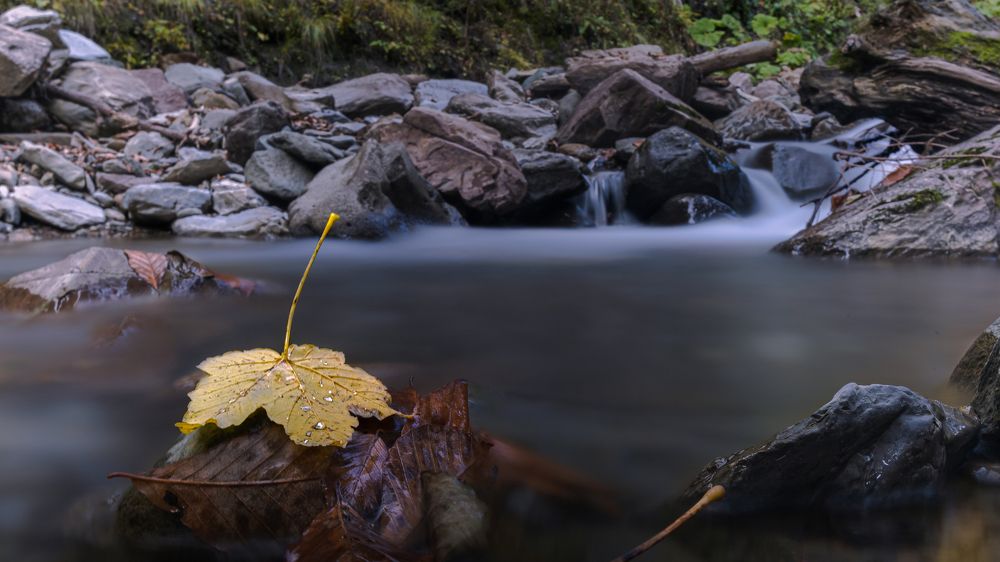 Photograph by Антон Дроздов