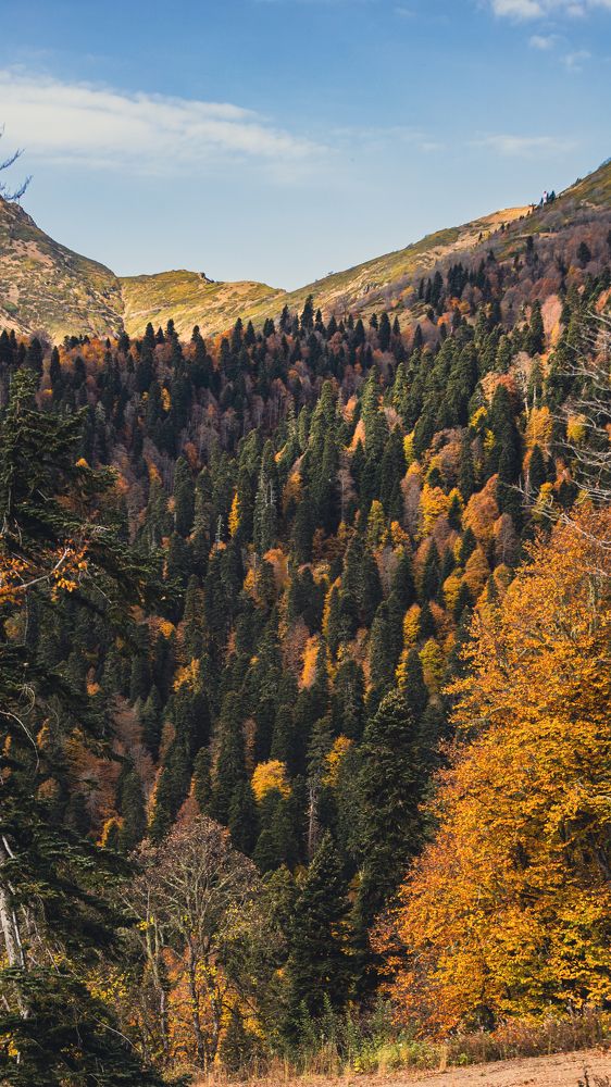 Photograph by Антон Дроздов