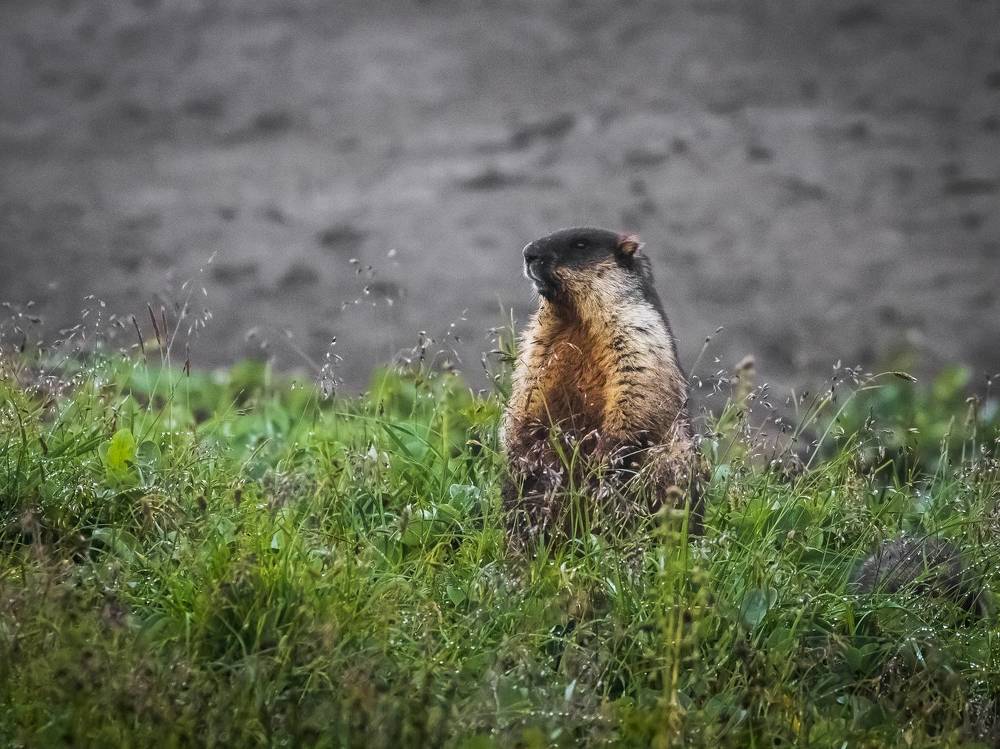 Photograph by Бравичева Анастасия