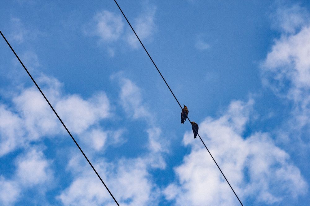 Photograph by Евгения Занадворова