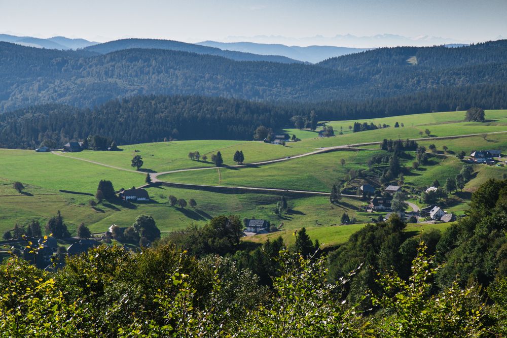 Photograph by Iuliia Kuznetcova