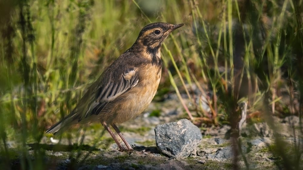 Photograph by Антон Дроздов