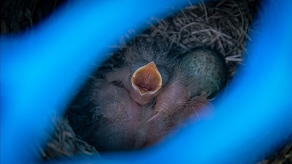 Photograph by Антон Дроздов