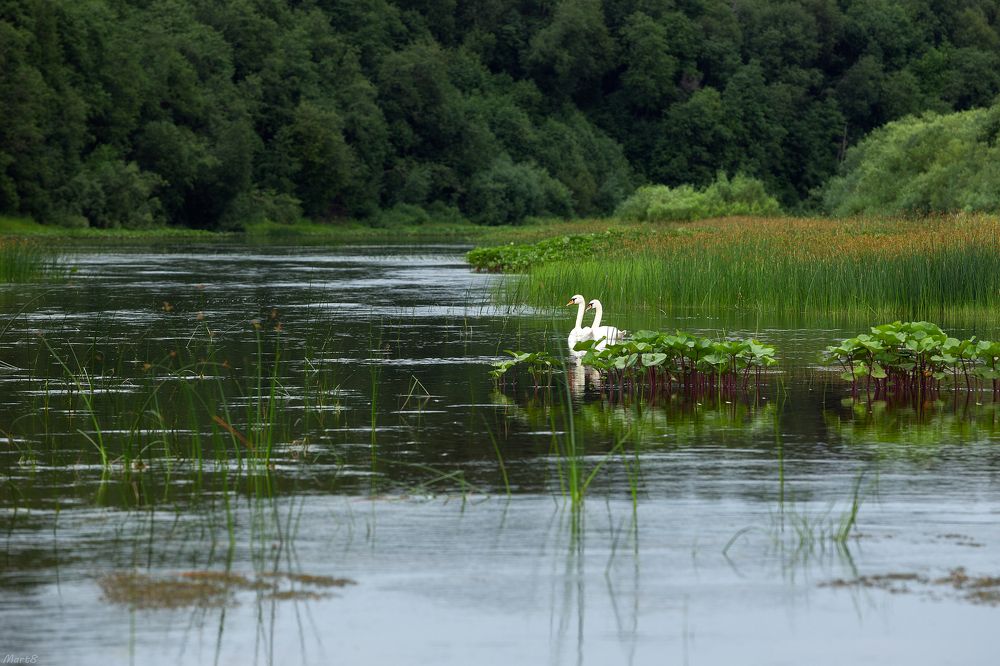 Photograph by Александр Кузнецов