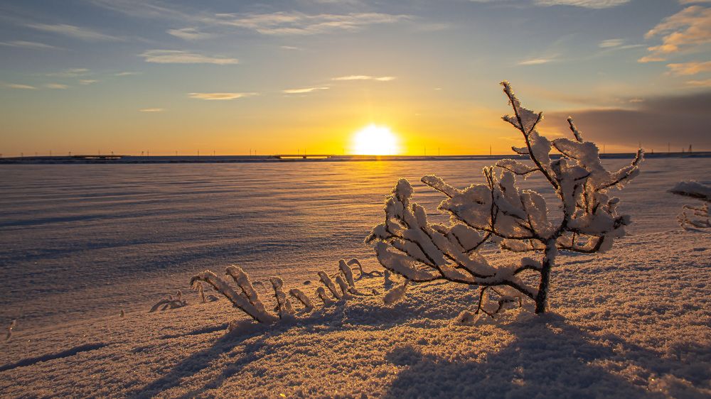 Photograph by Антон Дроздов