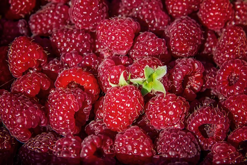 Photograph by Клясюк Галина