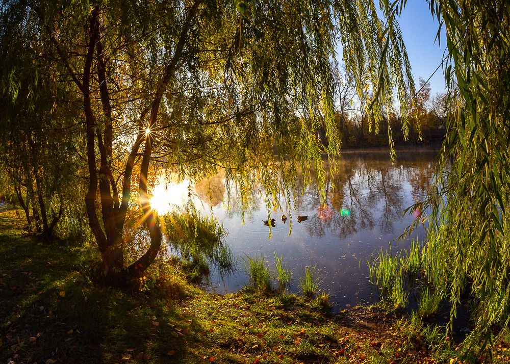 Фотография автора владимир шаронов