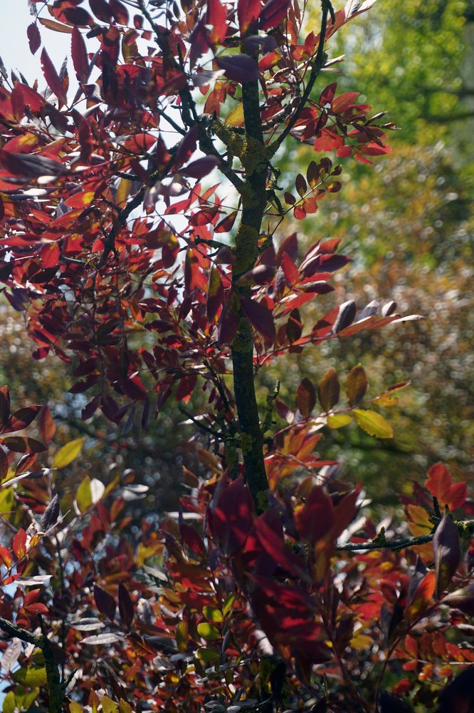 Photograph by Dimitris Lapousis