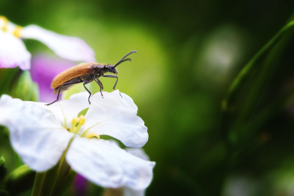 Photograph by Людмила Манохина