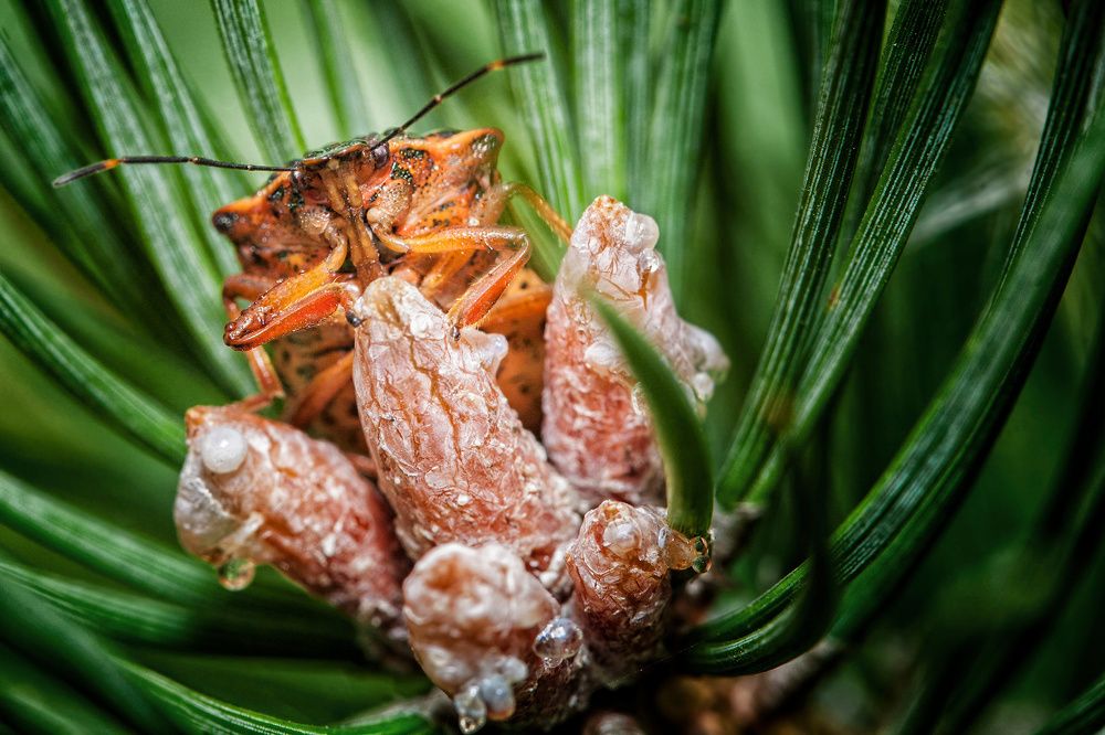 Photograph by Людмила Манохина