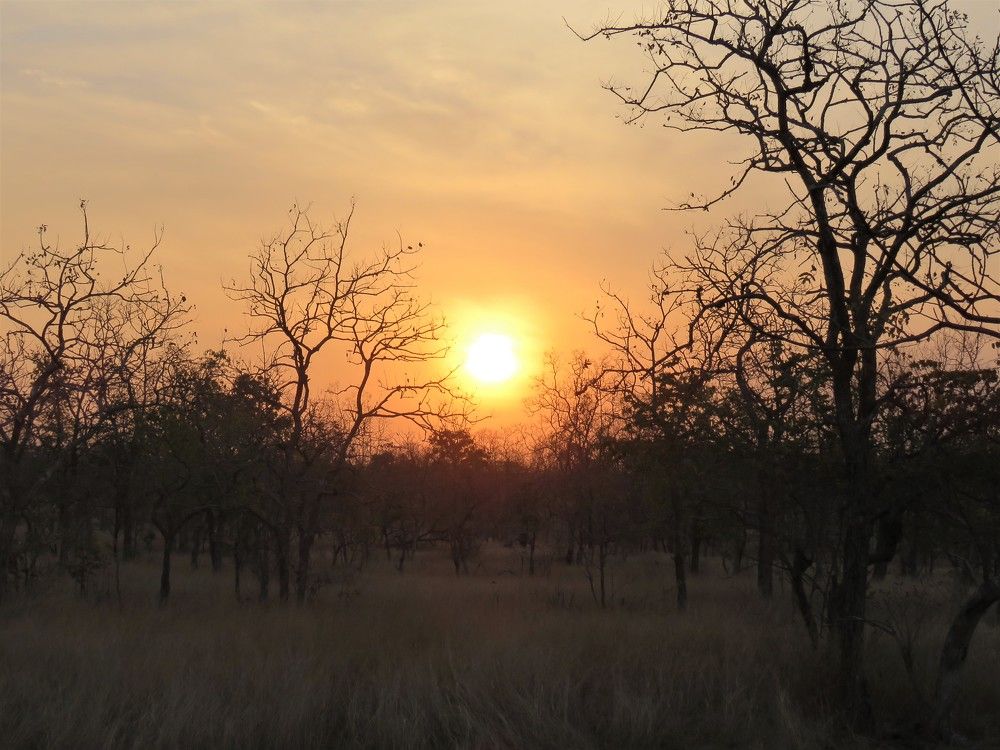 Photograph by ANISH BISWAS