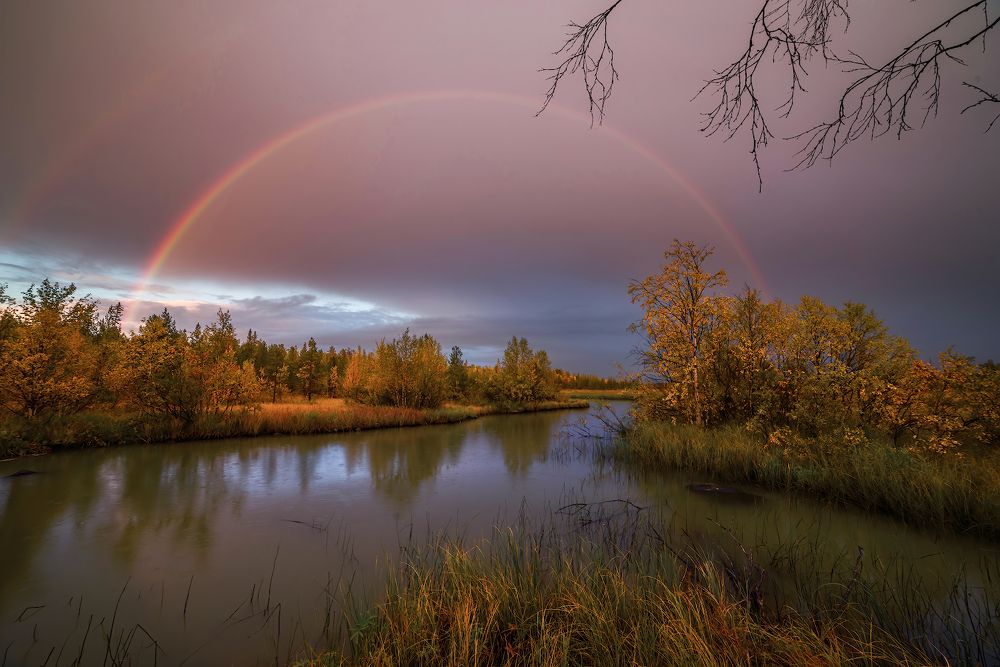 Photograph by Марина Мурашова