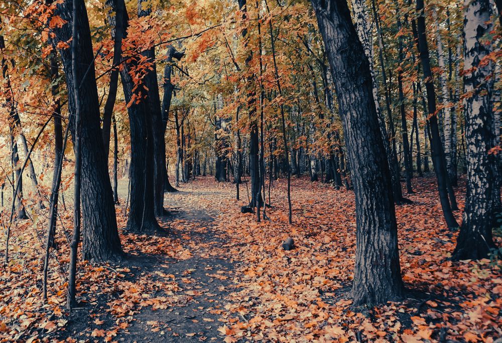 Photograph by Вера Кобченко