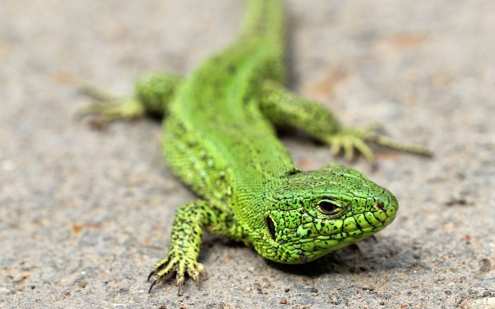 Photograph by Мурат Кужахметов