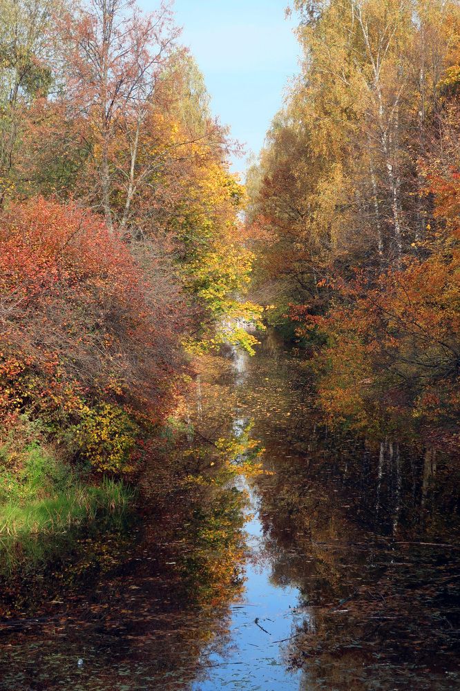 Photograph by Ирина Тынянкина