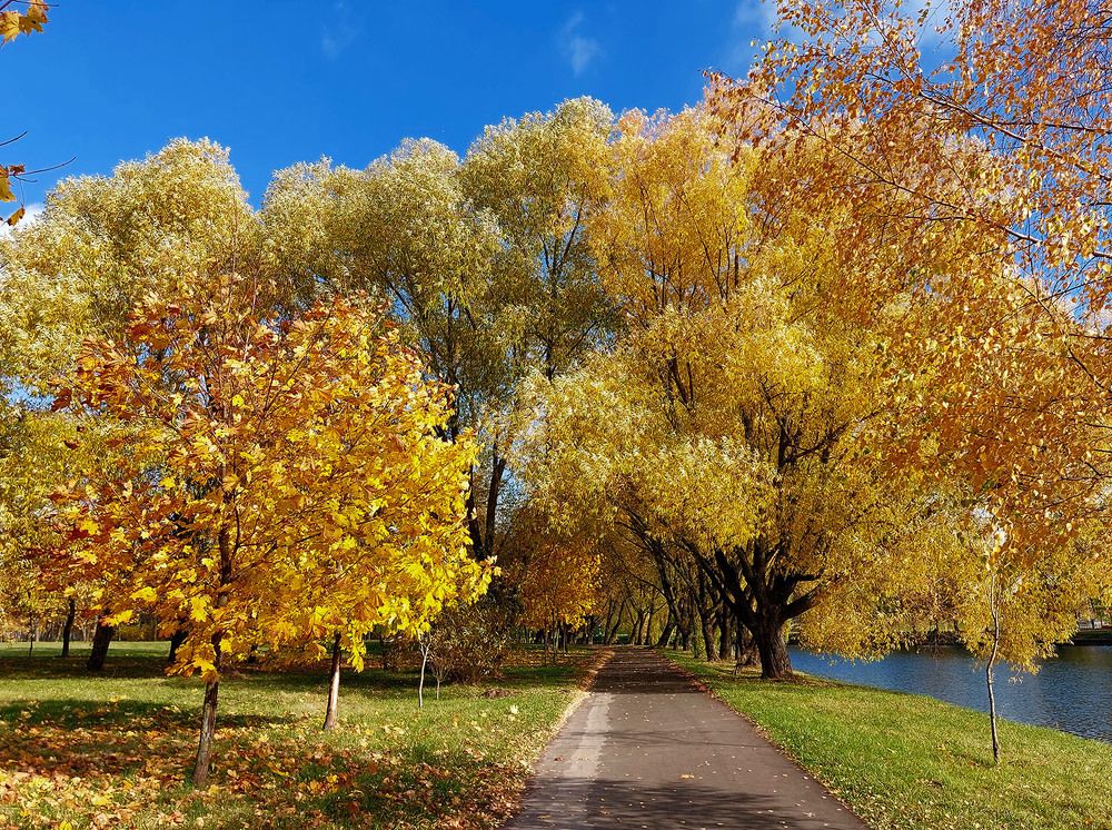 Photograph by Шкарупа Тамара