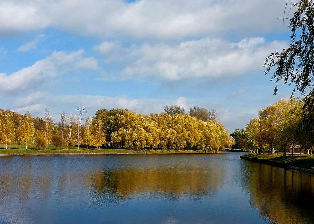 Photograph by Шкарупа Тамара