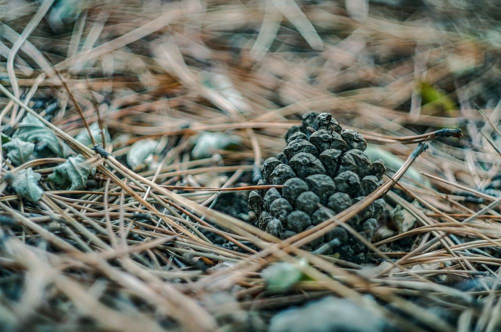 Photograph by Павел Галивец