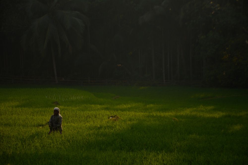 Photograph by Rohan Fernandes