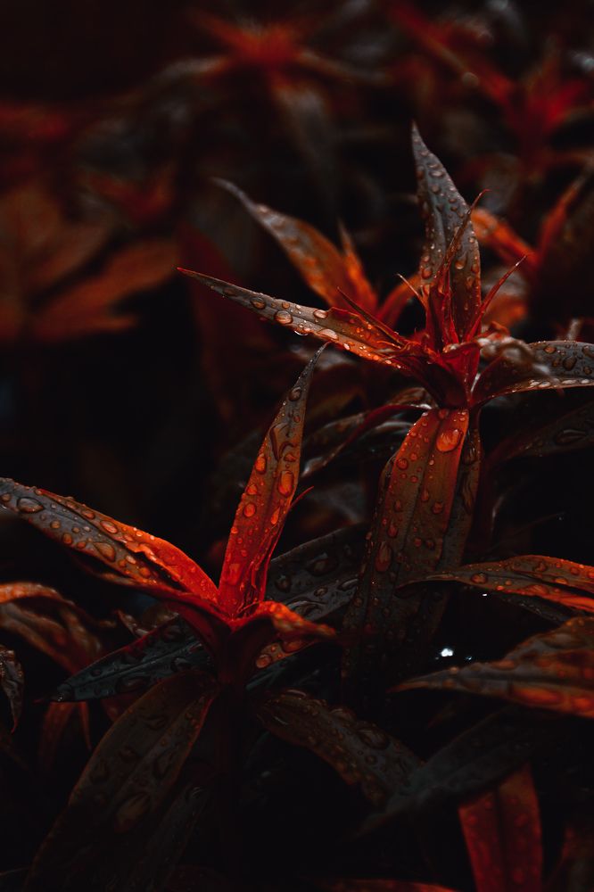 Photograph by Анастасия Кобелева