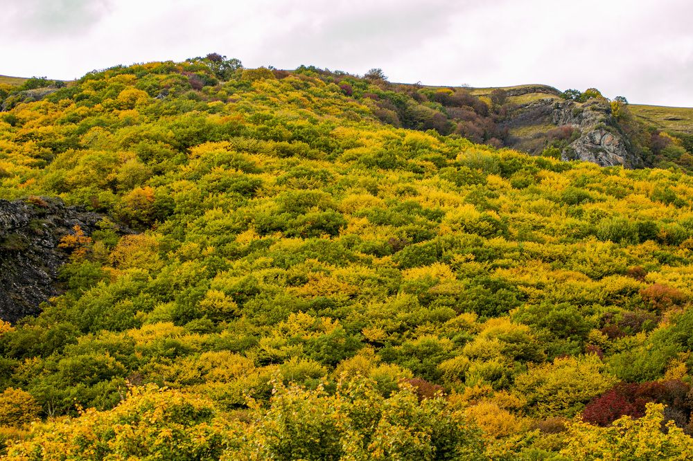 Photograph by Артур Казаков