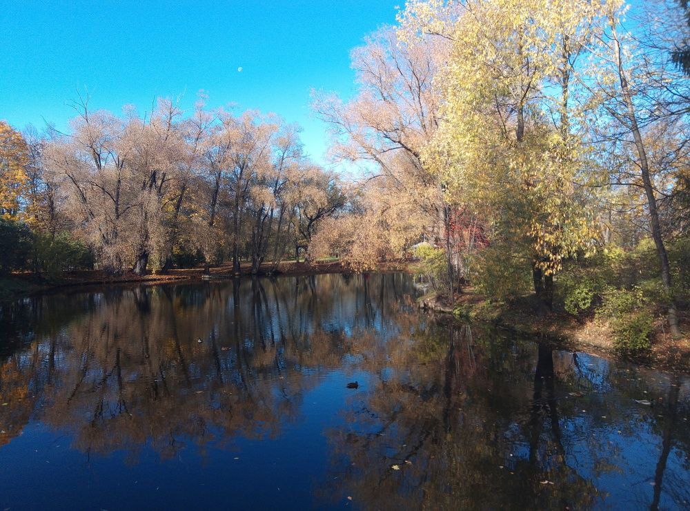 Photograph by Евгений Артемьев