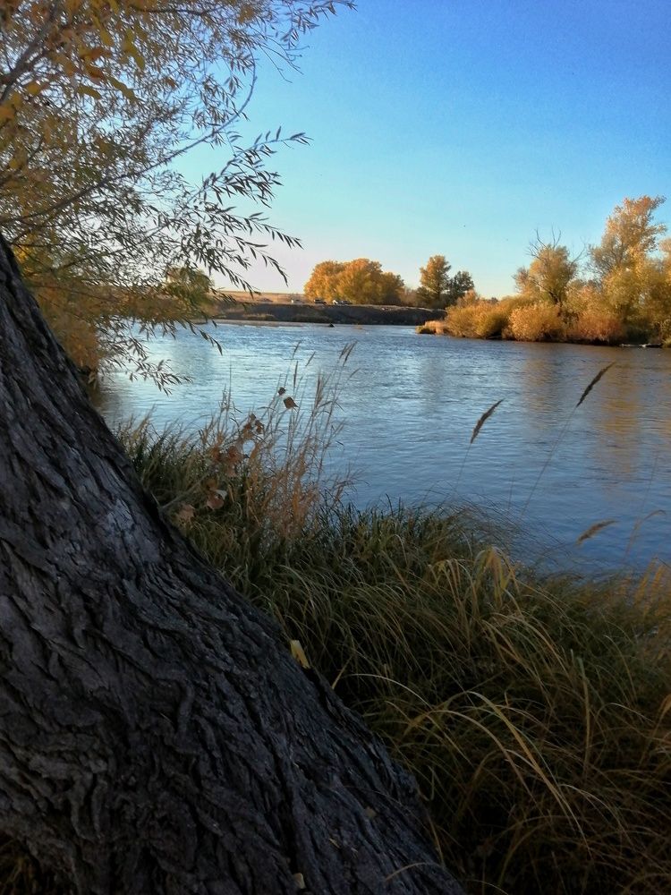 Photograph by Ольга Мокрова