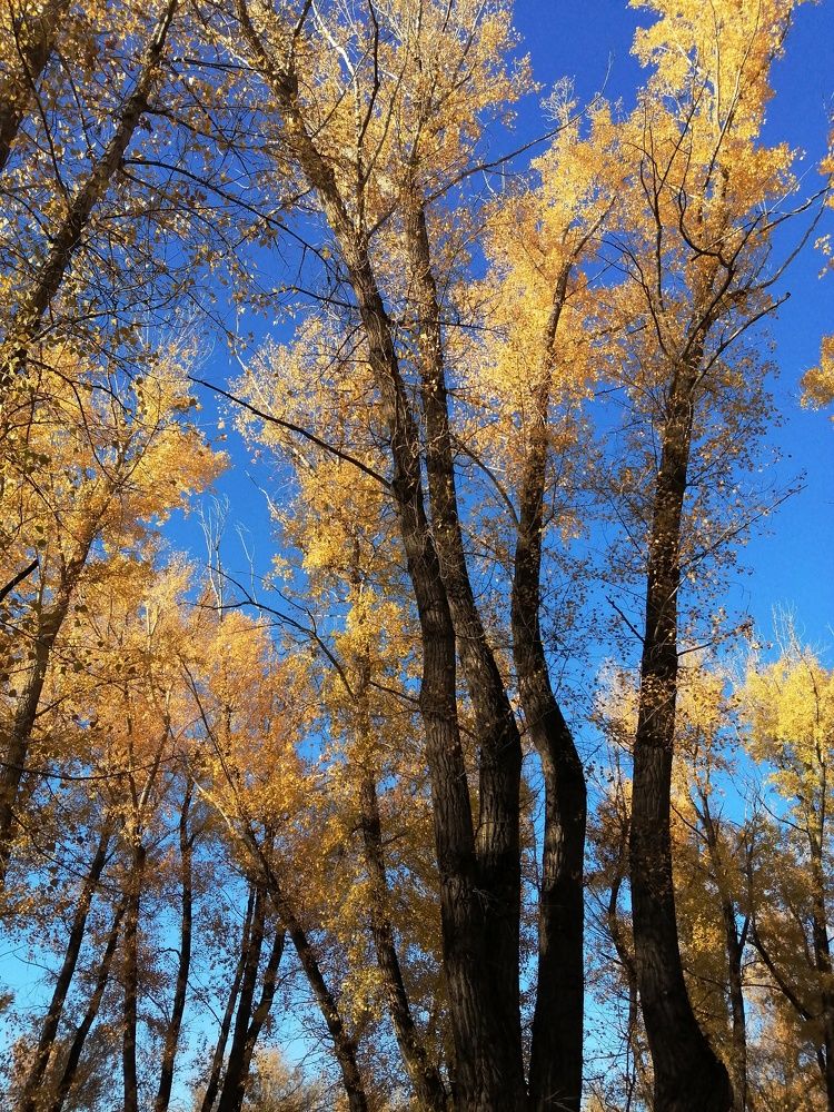 Photograph by Ольга Мокрова