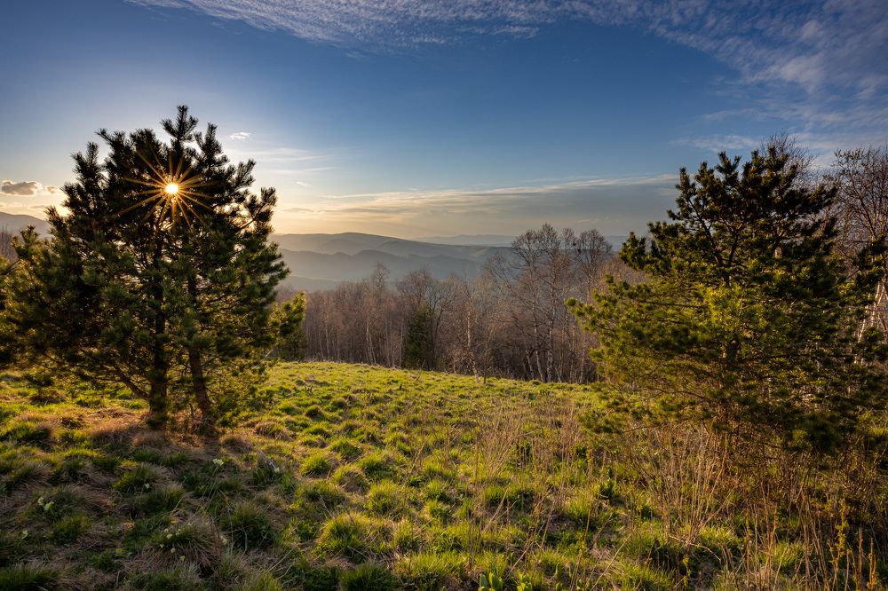 Photograph by Александр Горшенин