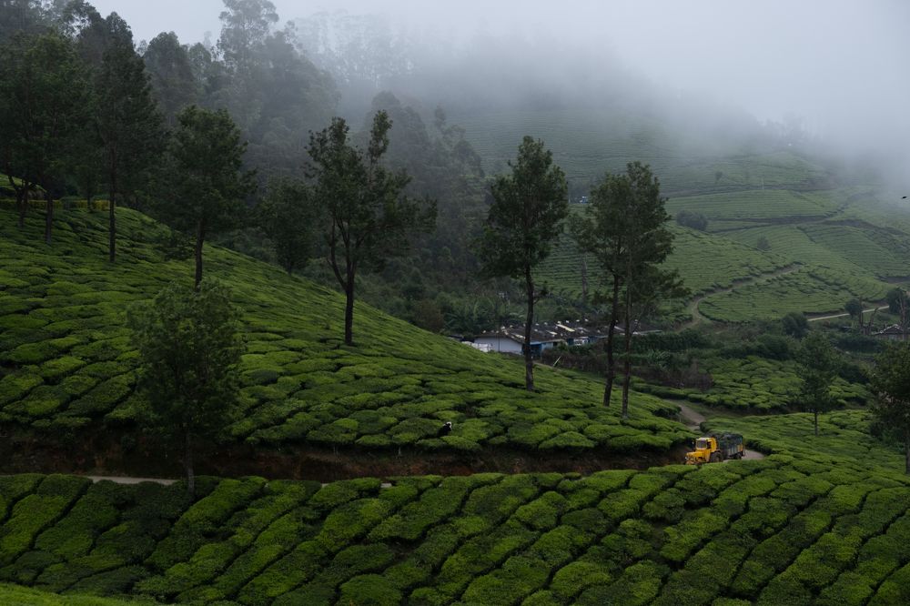 Photograph by Rohan Fernandes