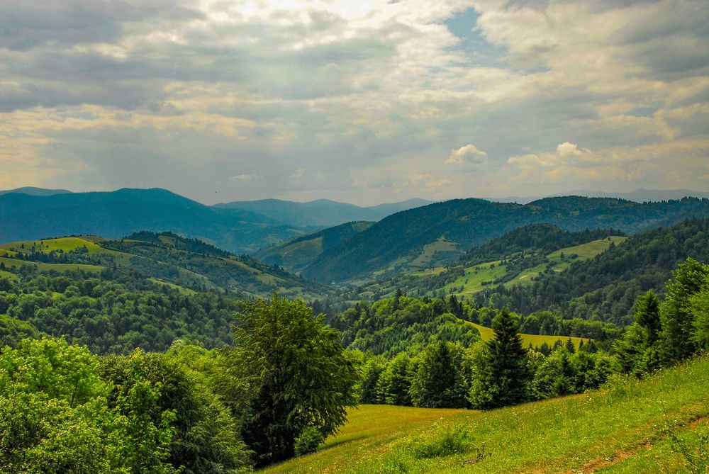 Зелёные дали