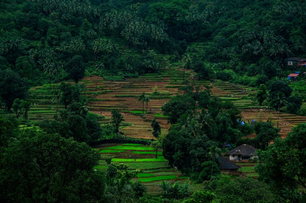 Photograph by Rohan Fernandes