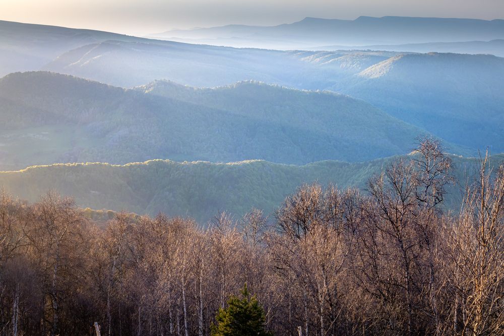 Photograph by Александр Горшенин