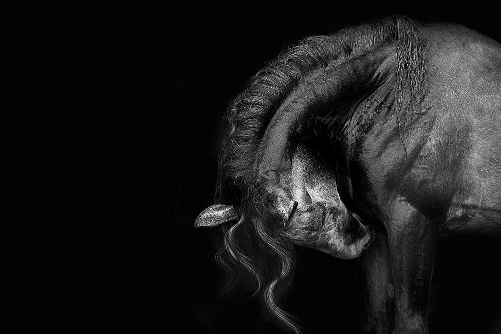 Photograph by Любовь Похабова