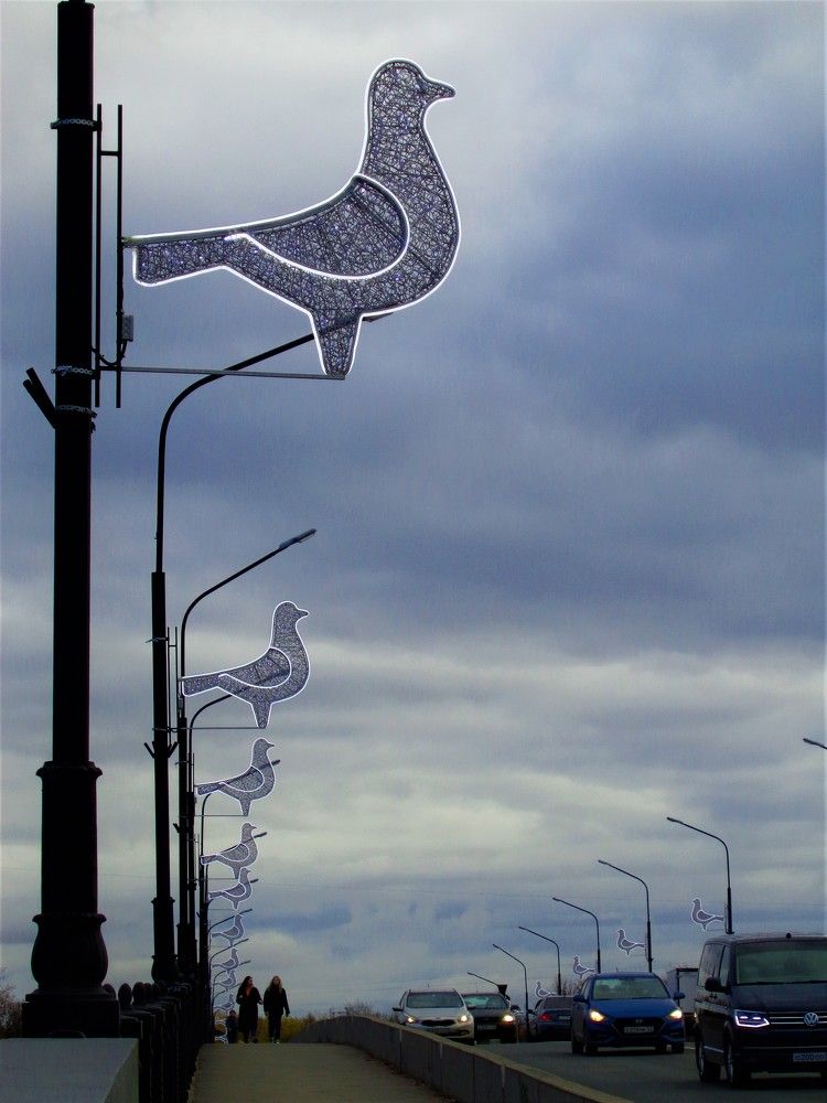 Иллюминация в виде птиц, на мосту Александра Невского в городе Великий Новгород