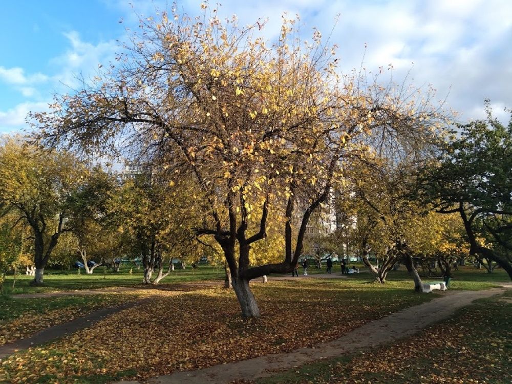 Photograph by Ася Кузьмина