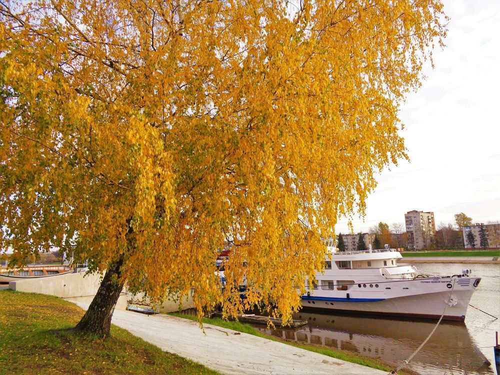 Photograph by Владимир Джерихов