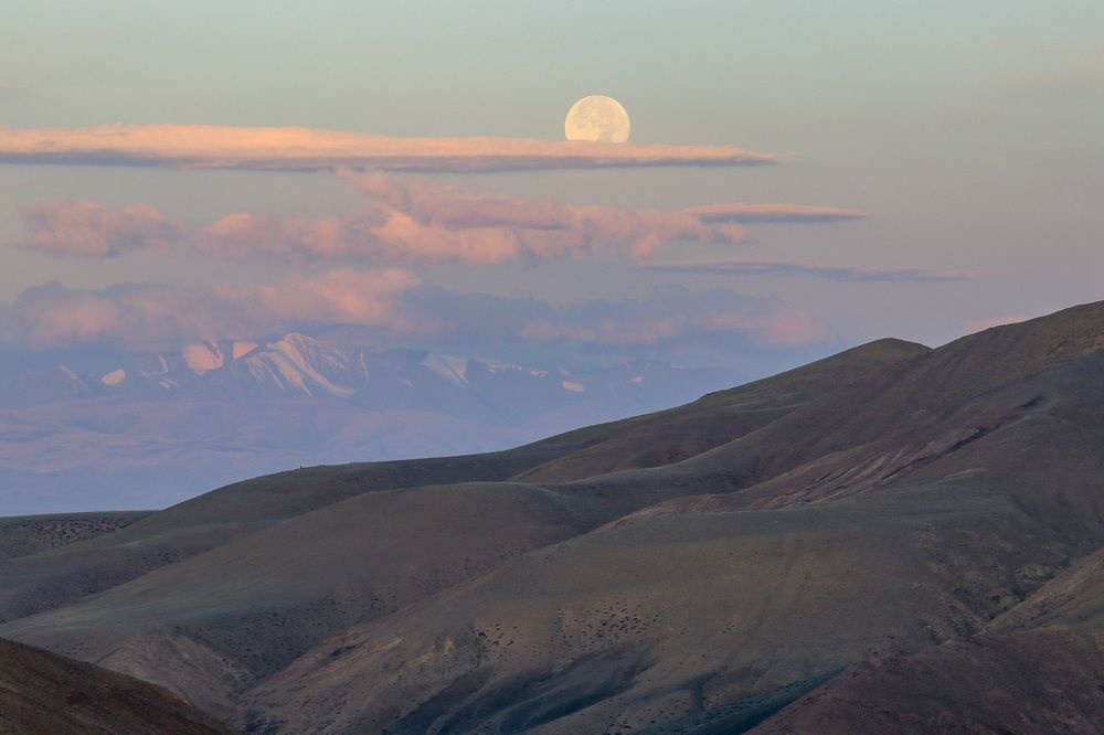 Photograph by Елена Данченко